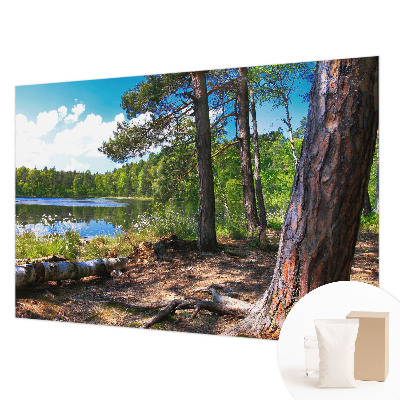 Mural de fotos na parede Paisagem florestal