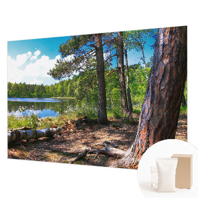 Mural de fotos na parede Paisagem florestal