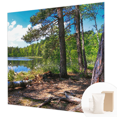 Mural de fotos na parede Paisagem florestal