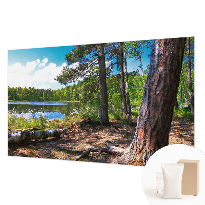 Mural de fotos na parede Paisagem florestal