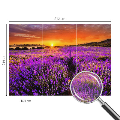 Papel de parede Pôr do Sol Lavanda
