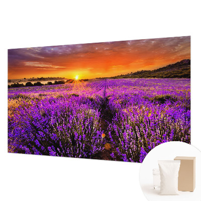 Papel de parede Pôr do Sol Lavanda