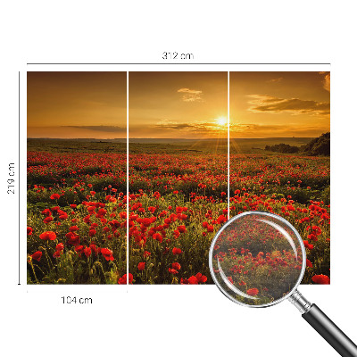 Papel de parede fotográfico Campo de papoulas