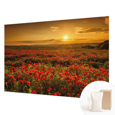 Papel de parede fotográfico Campo de papoulas