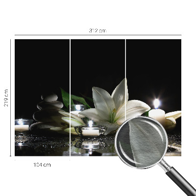 Papel de parede decorativo Cena relaxante