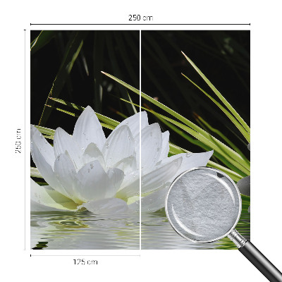 Papel de parede para sala Meditação com lírios