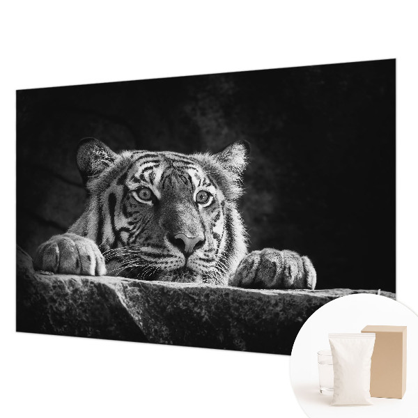 Papel de parede fotográfico Olhar predatório