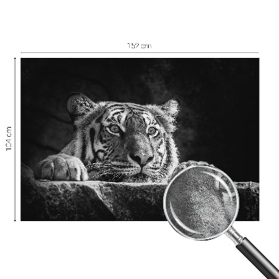 Papel de parede fotográfico Olhar predatório