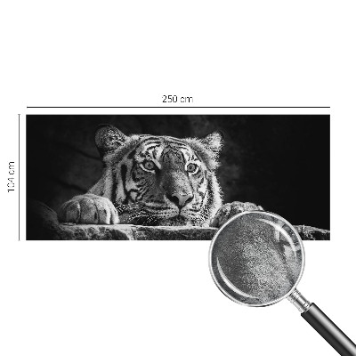 Papel de parede fotográfico Olhar predatório