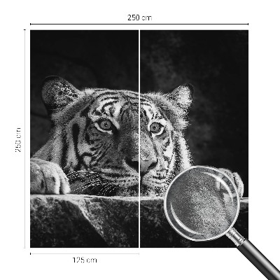 Papel de parede fotográfico Olhar predatório