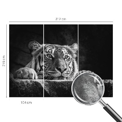 Papel de parede fotográfico Olhar predatório