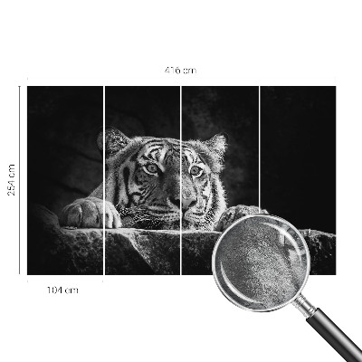 Papel de parede fotográfico Olhar predatório
