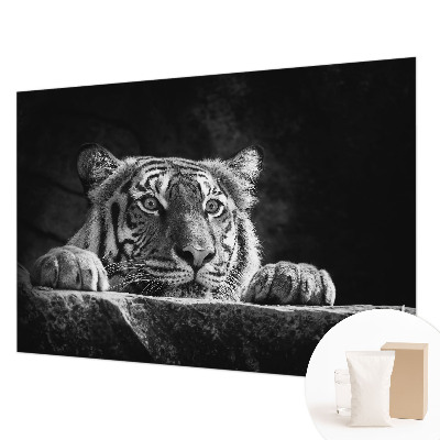 Papel de parede fotográfico Olhar predatório