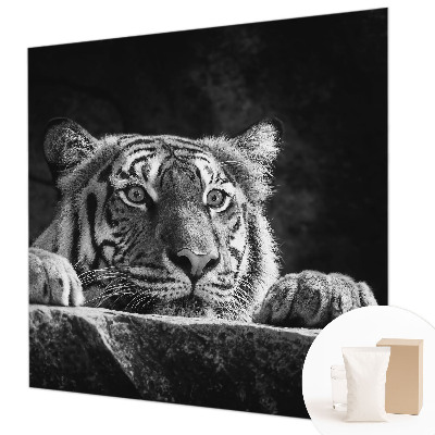 Papel de parede fotográfico Olhar predatório