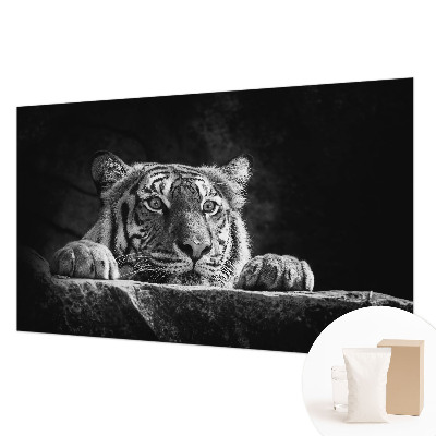 Papel de parede fotográfico Olhar predatório