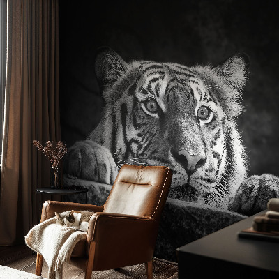 Papel de parede fotográfico Olhar predatório