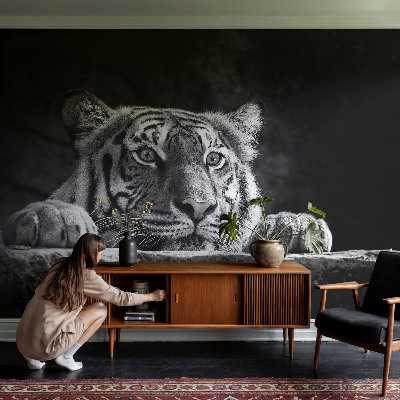 Papel de parede fotográfico Olhar predatório