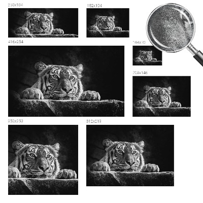 Papel de parede fotográfico Olhar predatório