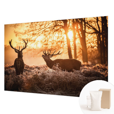 Papel de parede decorativo Veados pela manhã