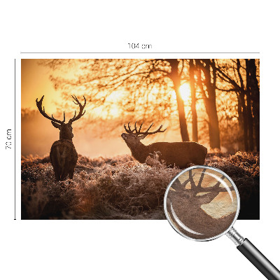 Papel de parede decorativo Veados pela manhã