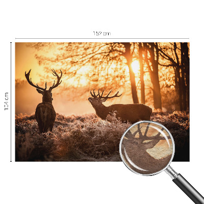 Papel de parede decorativo Veados pela manhã