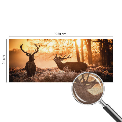 Papel de parede decorativo Veados pela manhã