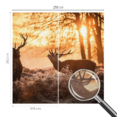 Papel de parede decorativo Veados pela manhã