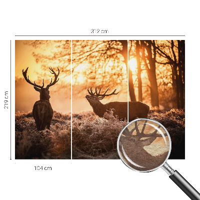 Papel de parede decorativo Veados pela manhã