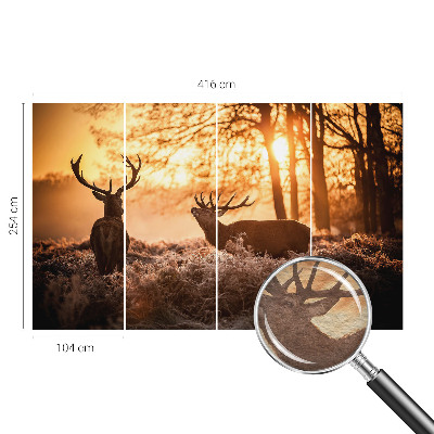 Papel de parede decorativo Veados pela manhã