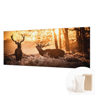 Papel de parede decorativo Veados pela manhã