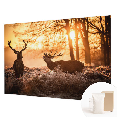 Papel de parede decorativo Veados pela manhã