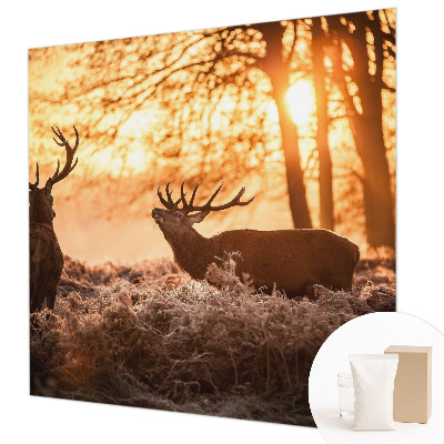 Papel de parede decorativo Veados pela manhã