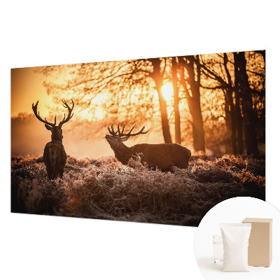 Papel de parede decorativo Veados pela manhã