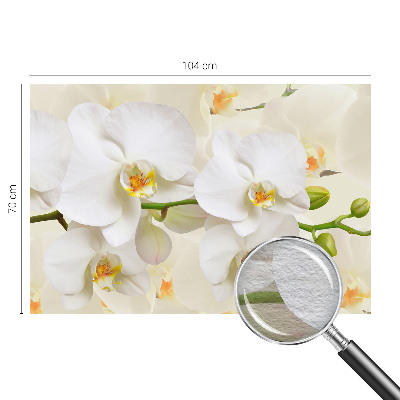 Papel de parede decorativo riqueza floral