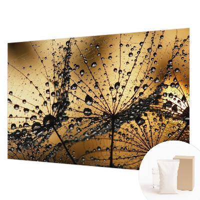 Mural fotográfico Gotas delicadas