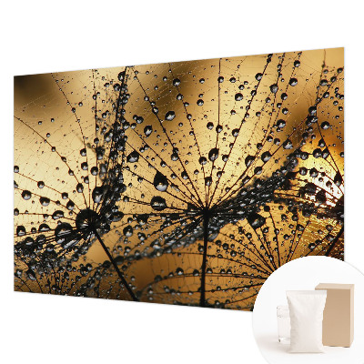 Mural fotográfico Gotas delicadas