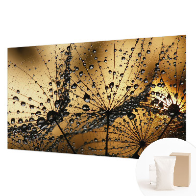 Mural fotográfico Gotas delicadas