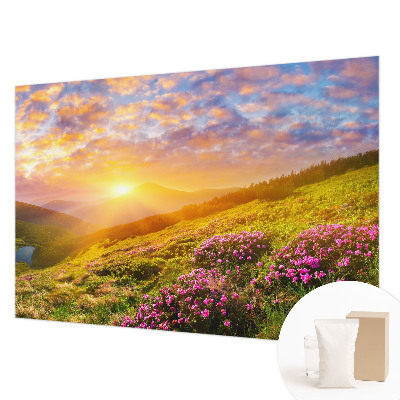 Papel de parede para sala Oeste Montanhoso