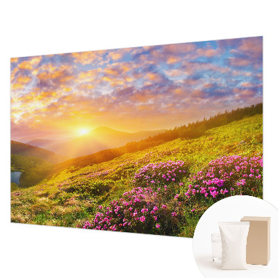 Papel de parede para sala Oeste Montanhoso