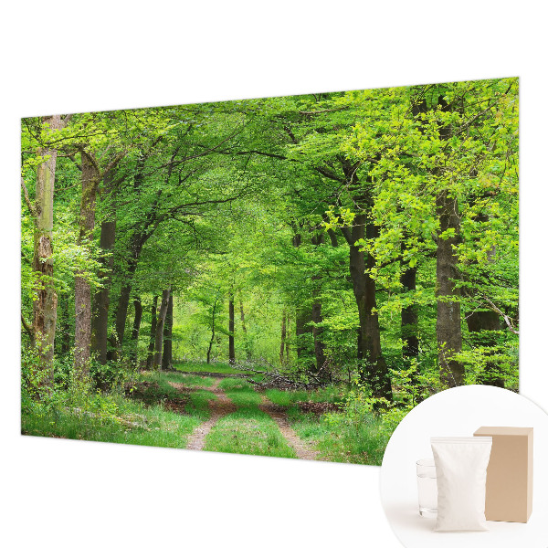 Papel de parede para quarto Trilha na floresta