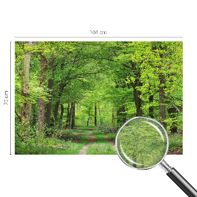 Papel de parede para quarto Trilha na floresta