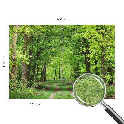 Papel de parede para quarto Trilha na floresta