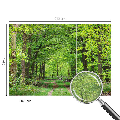 Papel de parede para quarto Trilha na floresta