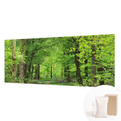 Papel de parede para quarto Trilha na floresta