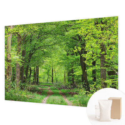 Papel de parede para quarto Trilha na floresta