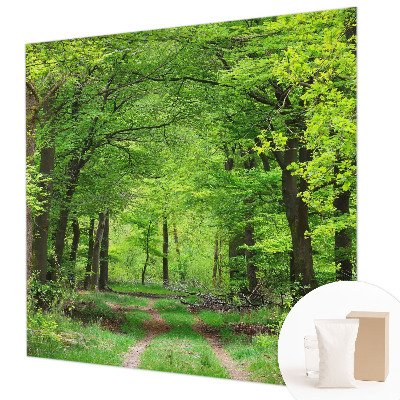 Papel de parede para quarto Trilha na floresta