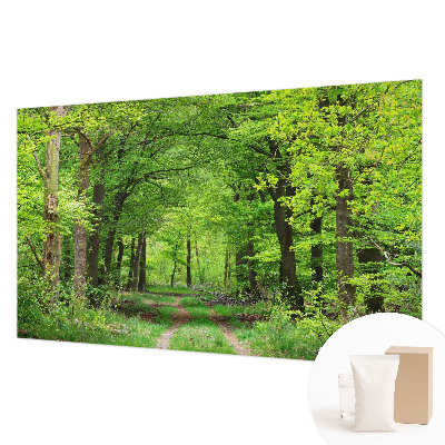 Papel de parede para quarto Trilha na floresta