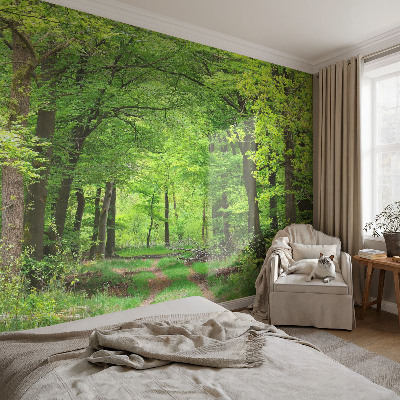 Papel de parede para quarto Trilha na floresta