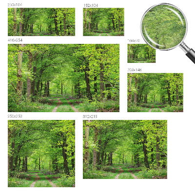 Papel de parede para quarto Trilha na floresta