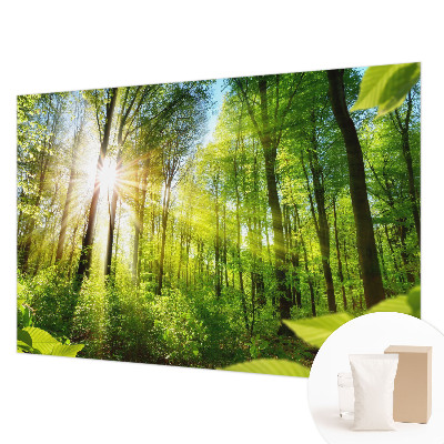 Papel de parede decorativo Luz da floresta